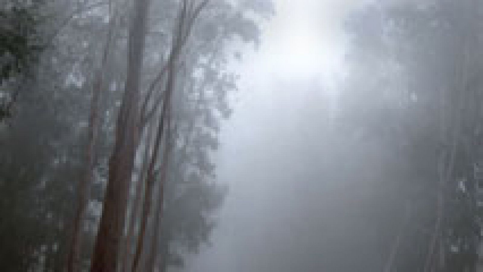 El tiempo: Nieblas persistentes en el norte de la meseta | RTVE Play