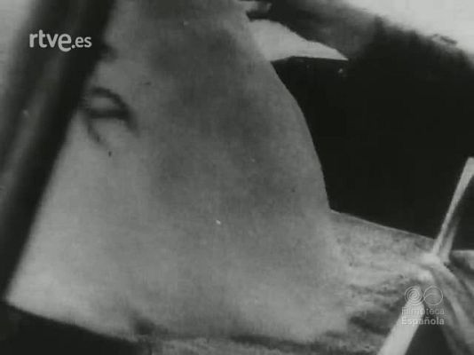 Archivo Histórico - HEROES DEL AIRE