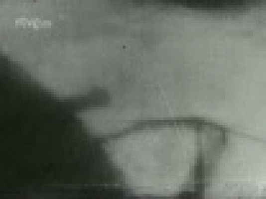 Archivo Histórico - LA FLOTA IMPERIAL DE GUERRA  JAPONESA