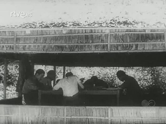 Archivo Histórico - PARACAIDISTAS NIPPONICOS CONTRA PALEMBANG