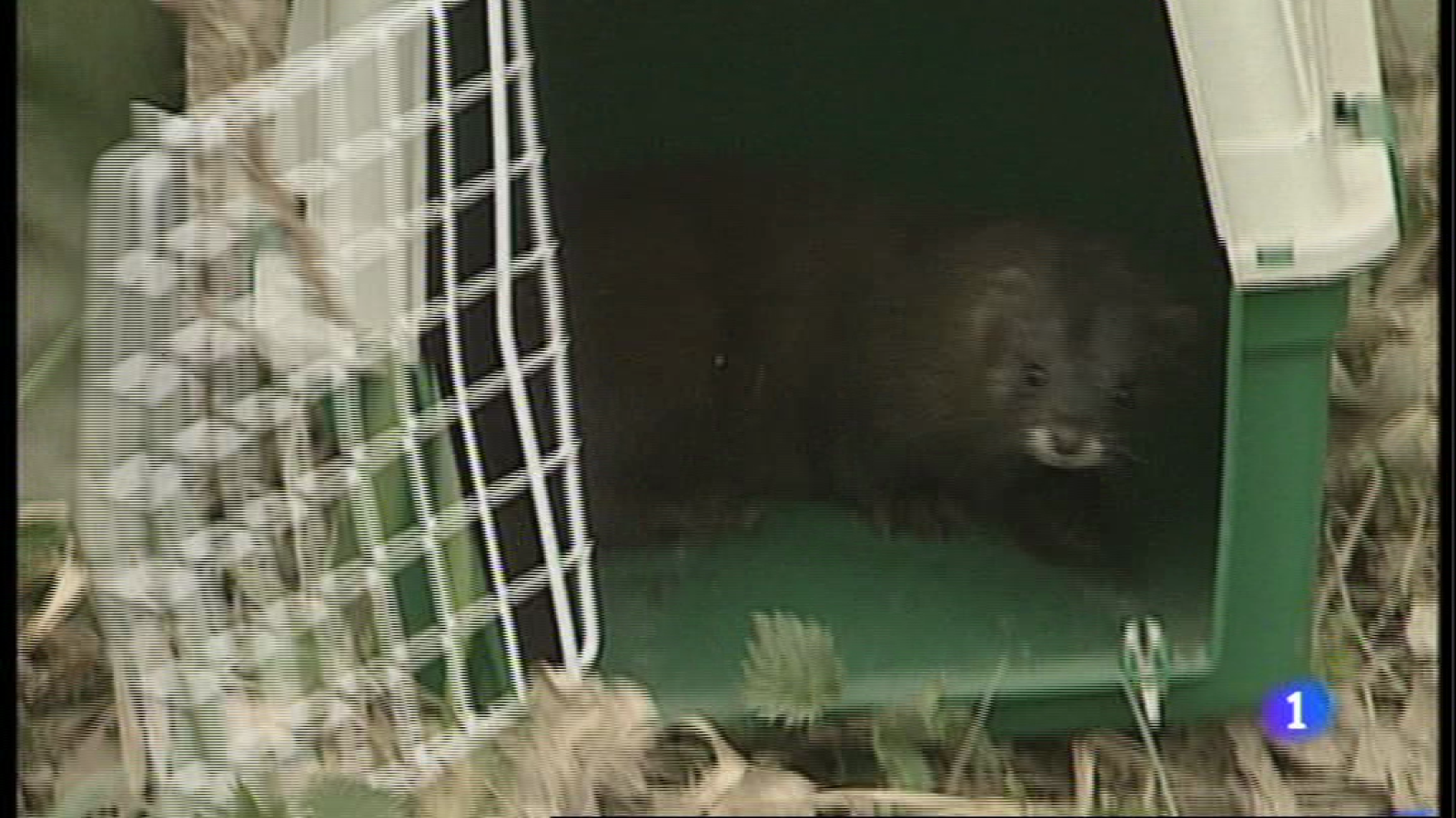 Informativo Telerioja 2 - 19/12/14 | Ver