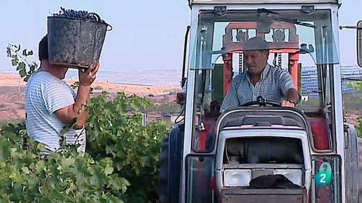 Agrosfera - Agrosfera - 20/12/14