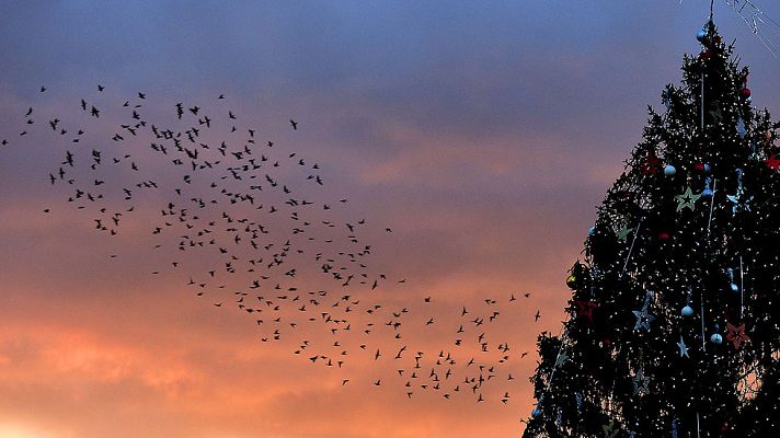 Informativo 24h - El invierno llega a medianoche y durará casi 89 días