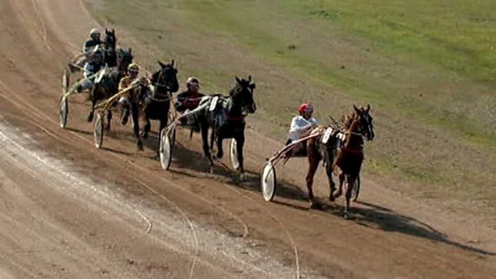 Turf - Turf - 21/12/14