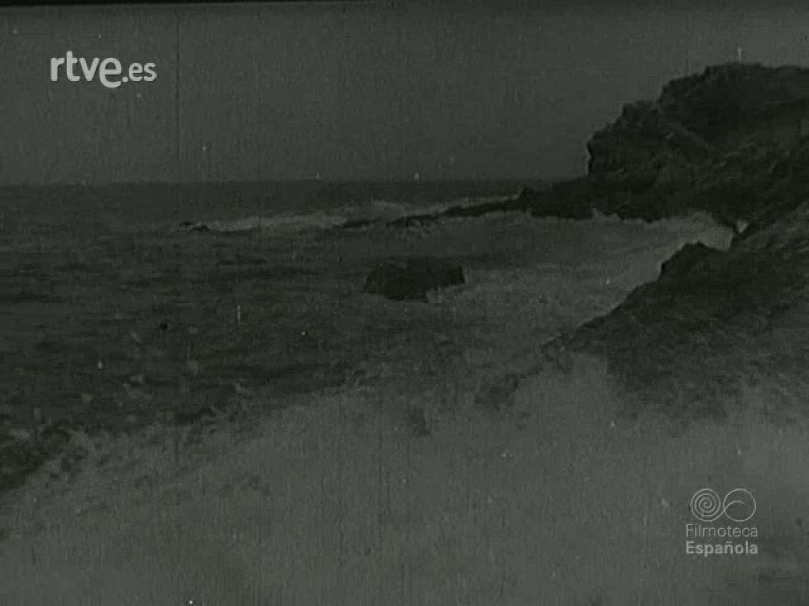 BIANCHI PASCOLI | Ver