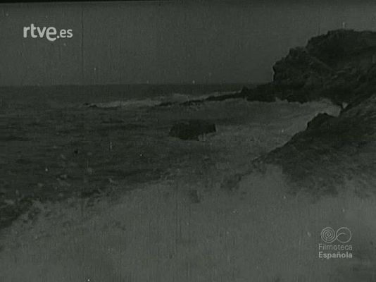 Archivo Histórico - BIANCHI PASCOLI