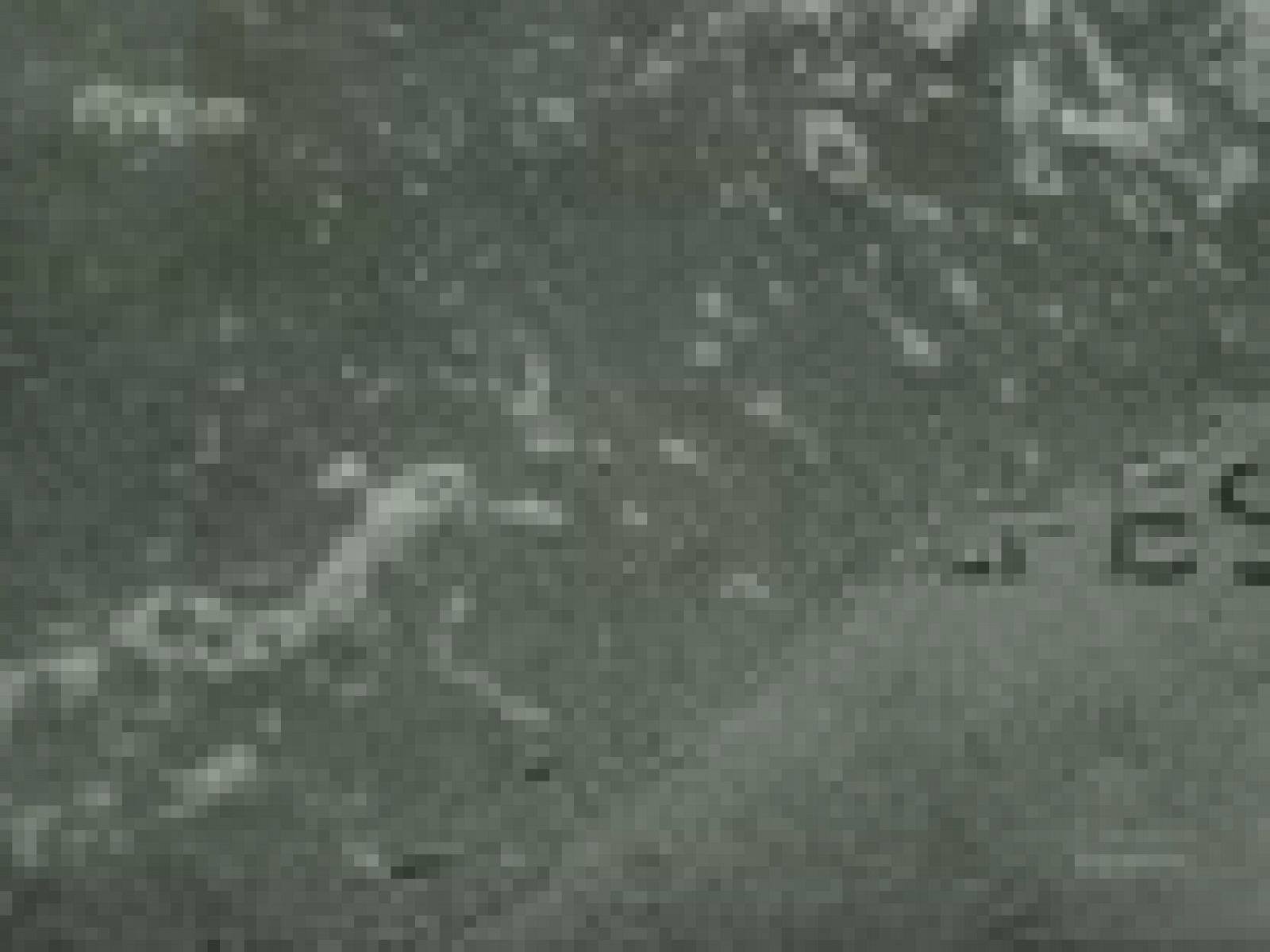 FLUGZEUG IN SEENOT (AVIONES DE RESCATE). | Ver