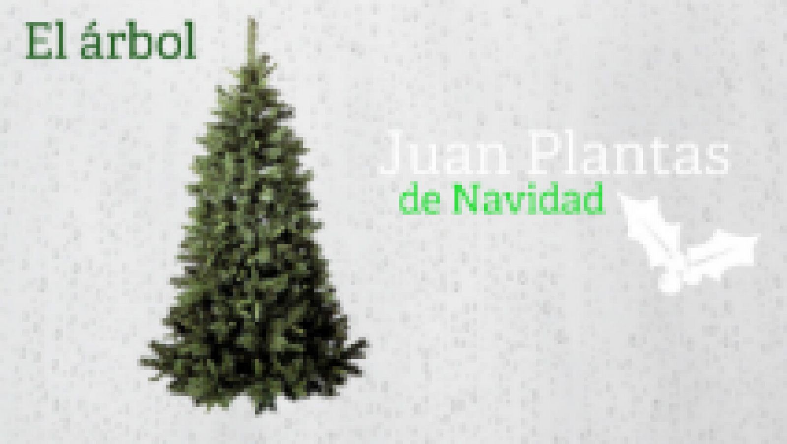 Juan Plantas y el abeto de Navidad