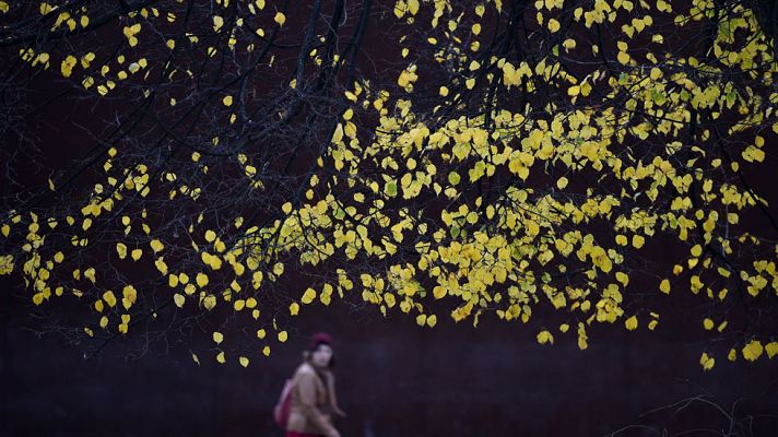 Informativo de Madrid - El tiempo en la Comunidad de Madrid - 23/12/14