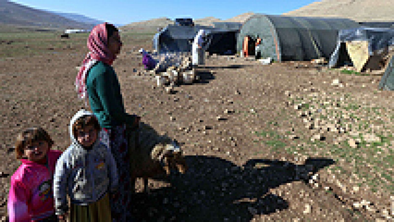 Telediario 1: Amnistía Internacional denuncia torturas y violaciones del EI a las mujeres Yazidíes | RTVE Play