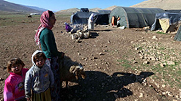 Amnistía Internacional denuncia torturas y violaciones del EI a las mujeres Yazidíes