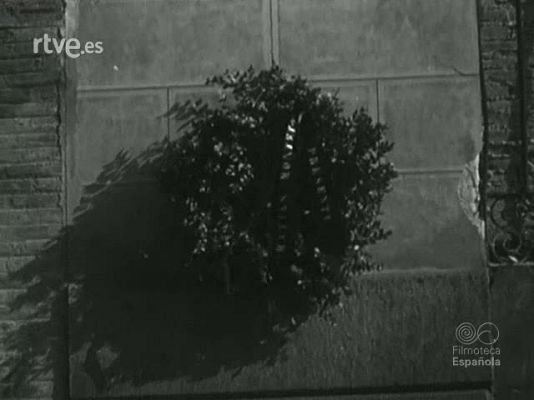 Archivo Histórico - NOTICIARIO SEU N 1