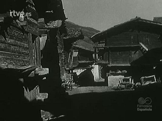 Archivo Histórico - WILDHEUER