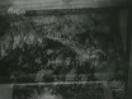 Archivo Histórico - LOS TAPICES