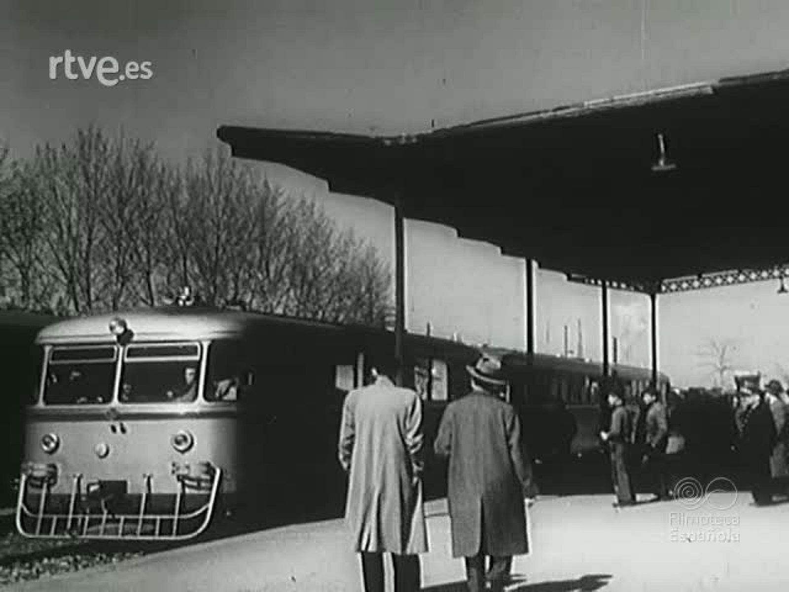 TREN NARANJERO | Ver