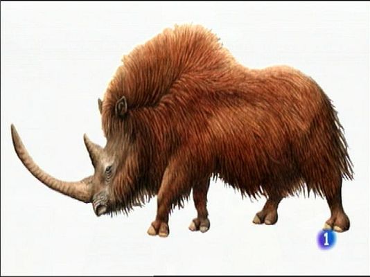 Panorama Regional - Panorama Regional 2 - 24/12/14