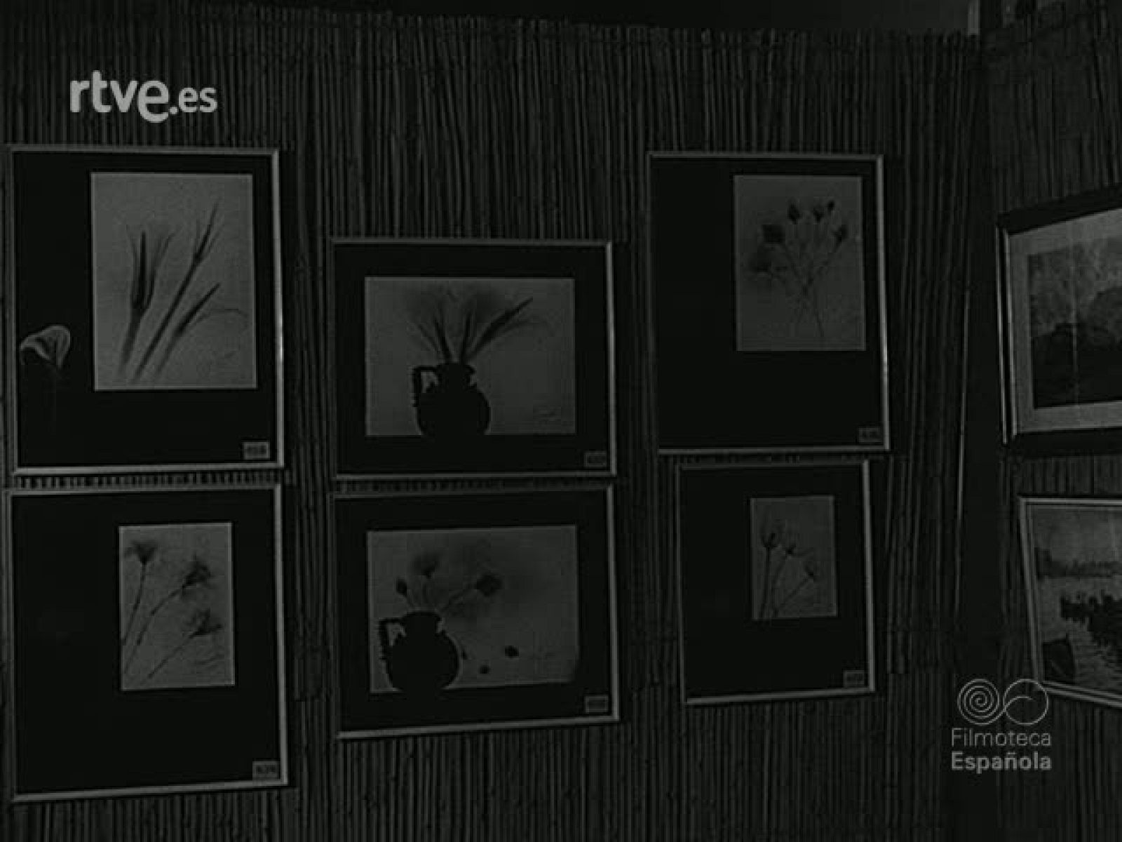 CONGRESO DE MEDICINA. (MATERIALES SIN MONTAR) | Ver