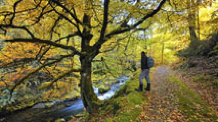 Informativo de Madrid - El tiempo en la Comunidad de Madrid - 26/12/14