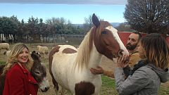 Aquí la Tierra-Maravilloso santuario de animales