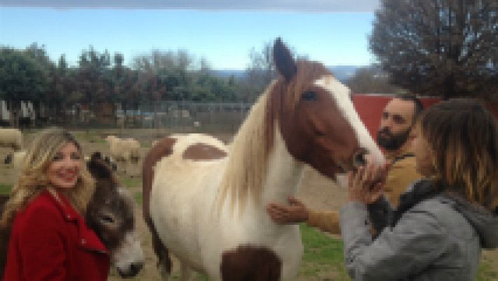 Maravilloso santuario de animales