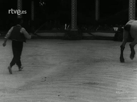 Archivo Histórico - 4 CONCURSO PROVINCIAL DE GANADOS EN CASTELLON (MATERIALES SI