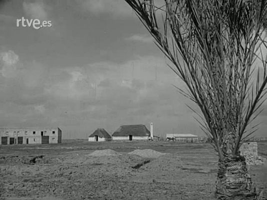 Archivo Histórico - NOTICIAS PROTAGONIZADAS POR FRANCO EN LOS  AÑOS 1952 - 1953