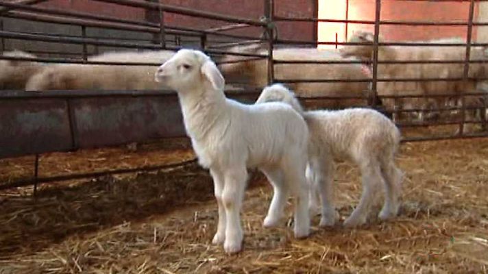 Agrosfera - Agrosfera - 27/12/14