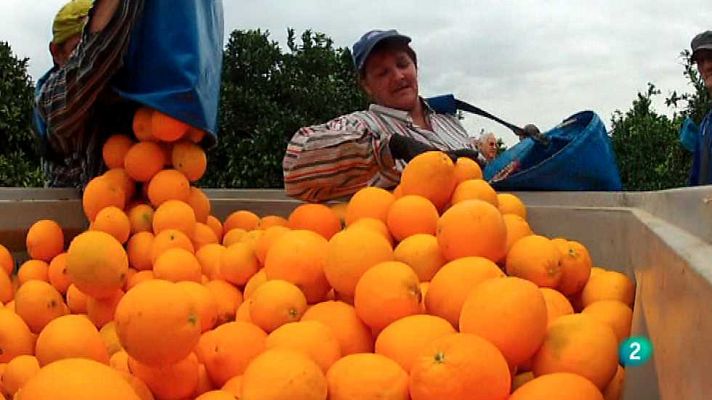 Otros documentales - Guardianes de la biodiversidad - Agricultores