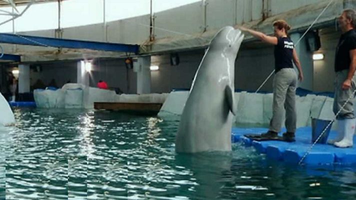 Lo que hay que ver ... - Lo que hay que ver - 28/12/14