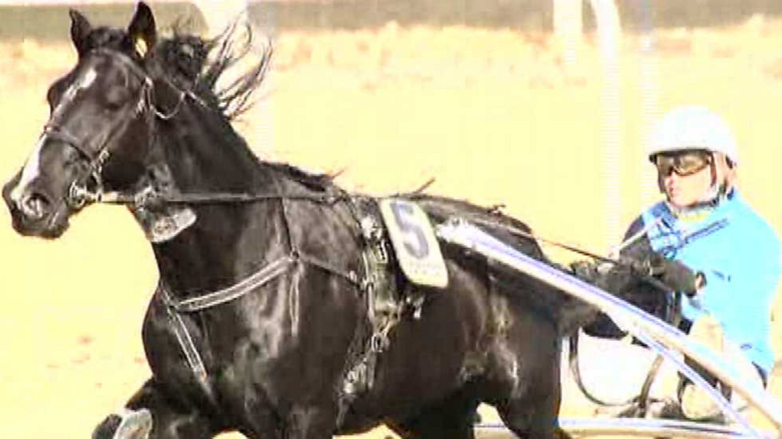 Turf - 28/12/14 - escuchar ahora