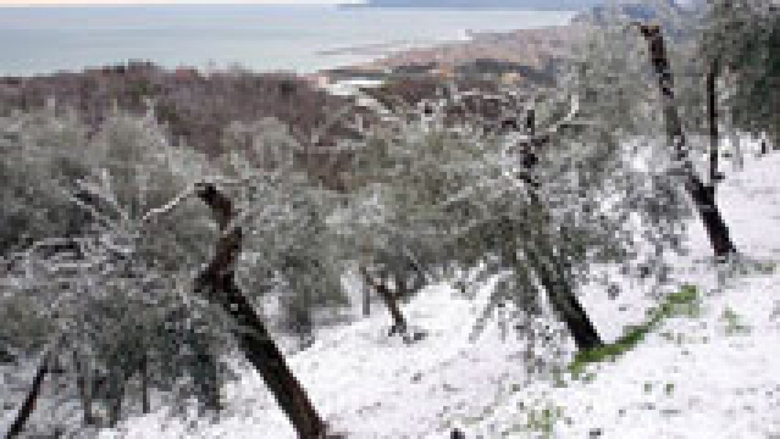 El tiempo: Mañana, viento fuerte en Pirineos, Ampurdán y Baleares, donde puede nevar | RTVE Play