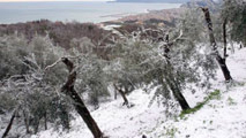 Mañana, viento fuerte en Pirineos, Ampurdán y Baleares, donde puede nevar