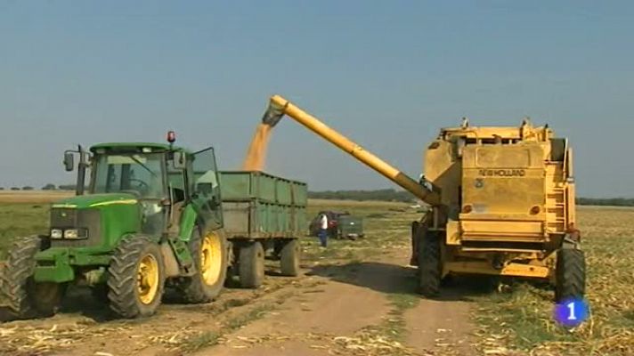 Noticias de Extremadura - Noticias de Extremadura 2 -29/12/2014