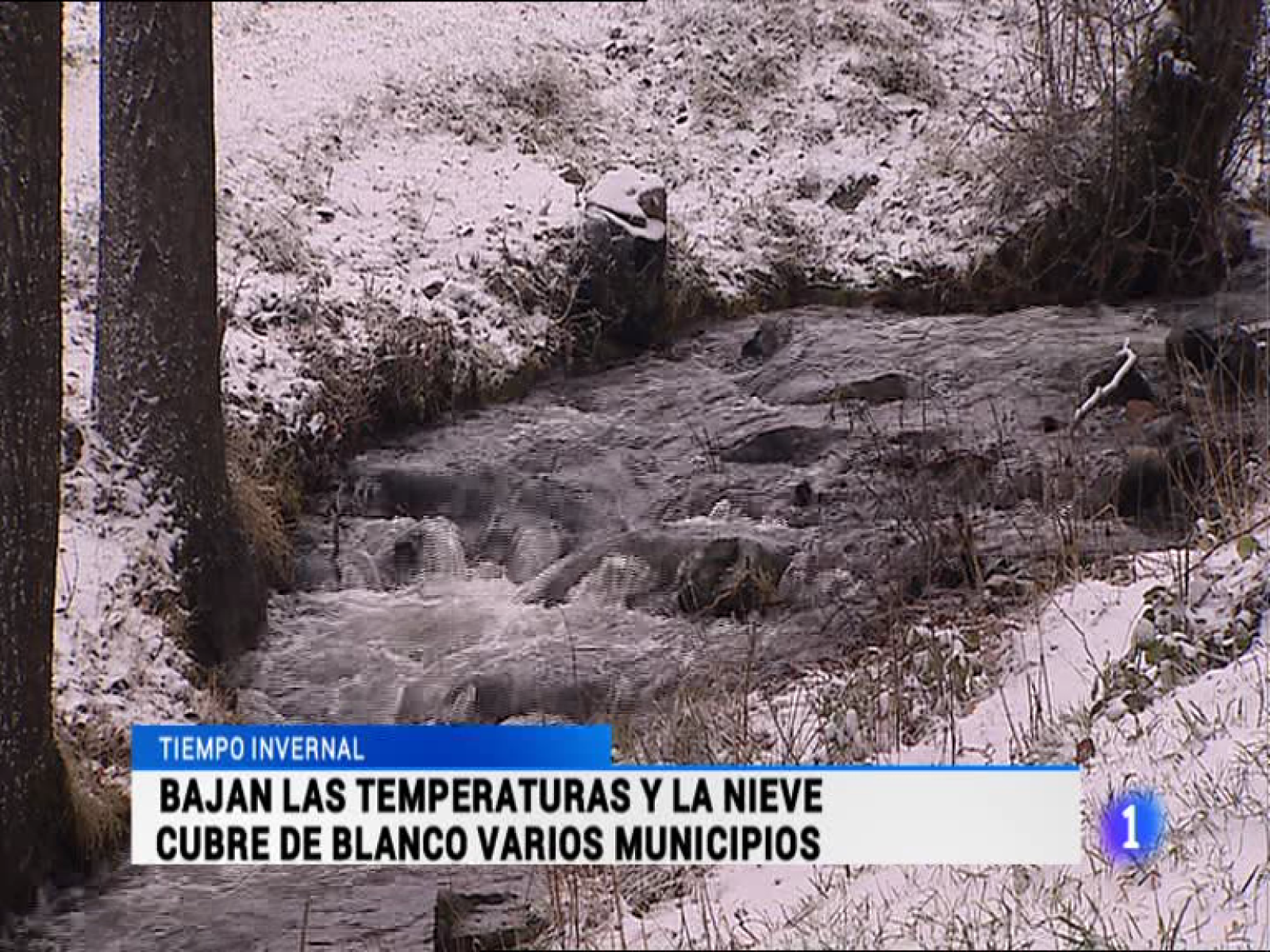 Informativo Telerioja 2 29/12/14