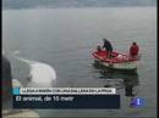  - Una ballena empotrada en la proa