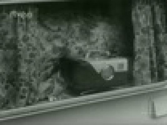 Archivo Histórico - NOTICIARIO FESTIVAL INA 1966