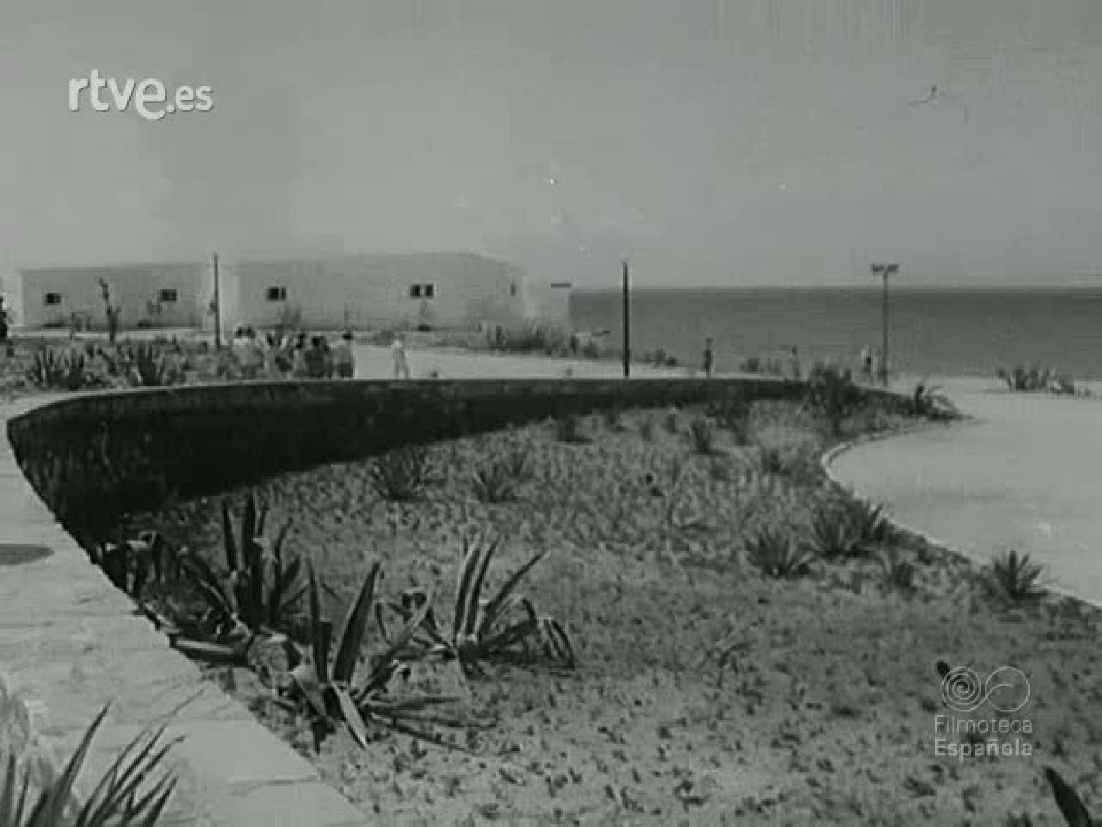 HISTORIA DE LA PAZ | Ver