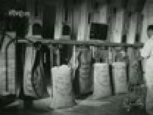 Archivo Histórico - FABRICA DE HARINA