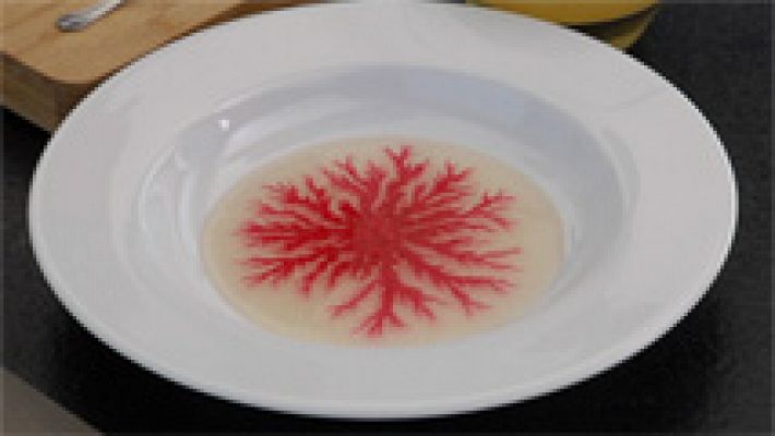 Órbita Laika - Un fractal en el plato