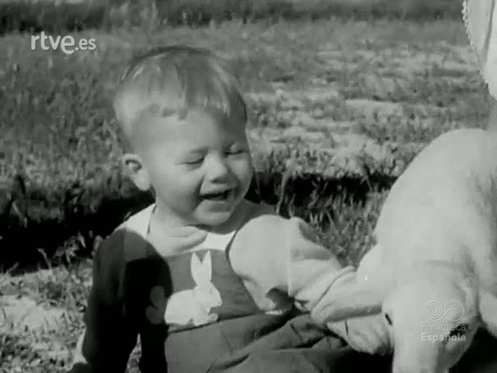 ALBERTO REIG GOZALBES Y SU FAMILIA (PLANOS SIN MONTAR) | Ver