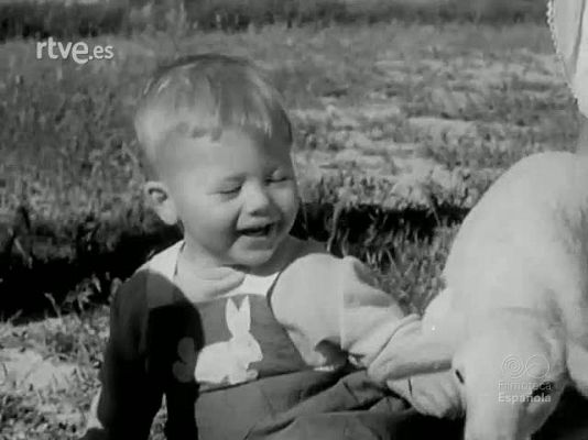 Archivo Histórico - ALBERTO REIG GOZALBES Y SU FAMILIA (PLANOS SIN MONTAR)