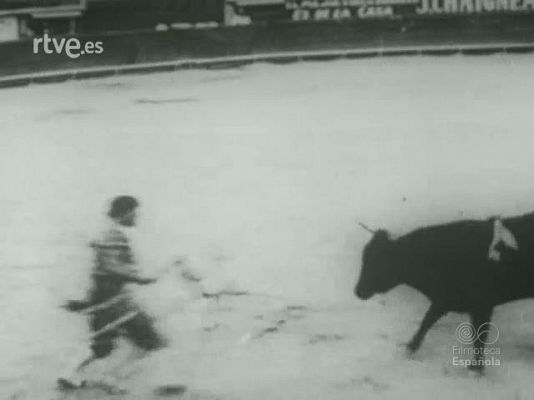 TOROS EN MEXICO