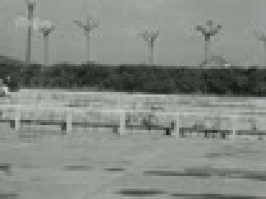 Archivo Histórico - SECCION FEMENINA DE FET Y DE LAS JONS MATERIALES SIN MONTAR