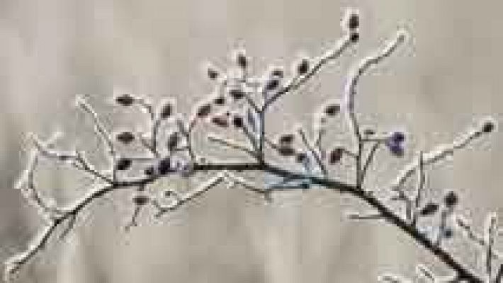 Informativo de Madrid - El tiempo en la Comunidad de Madrid - 02/01/15