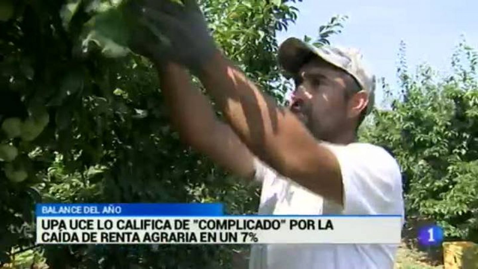 Extremadura en 2' - 02/01/2015 | Ver