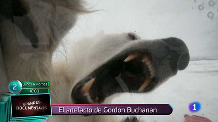 Lo que hay que ver ... - Lo que hay que ver - 03/01/15