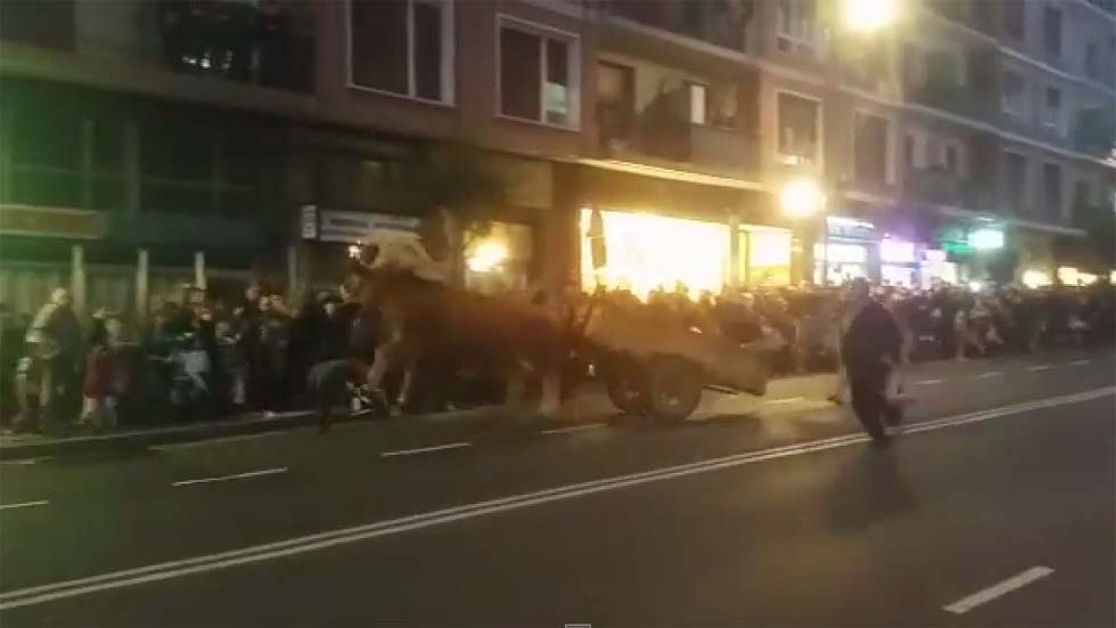 Unos bueyes desbocados causan pánico en la cabalgata de Reyes de Portugalete | Ver