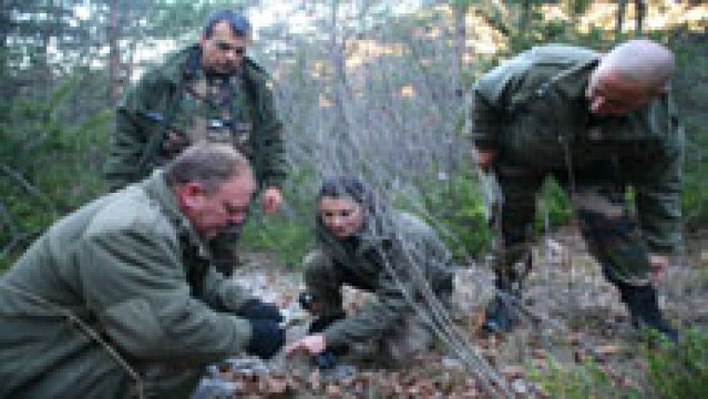 En Francia se analiza el cráneo encontrado por unos cazadores por si pudiera ser el de Publio Cordón