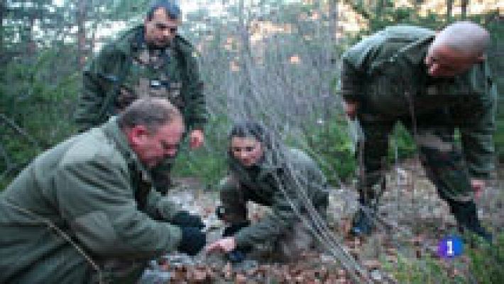 Telediario 1 - El cráneo hallado en Francia no es de Publio Cordón, según los primeros indicios