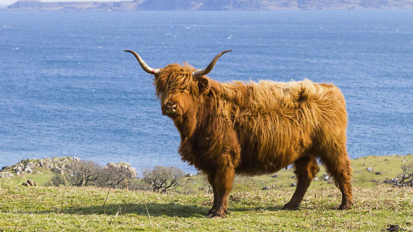 Grandes documentales - Islas al límite 3 - ver ahora